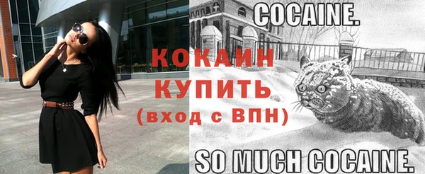 экстази Богданович