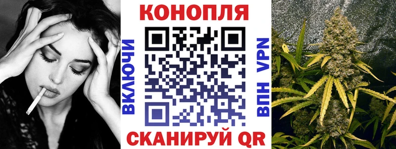 Марихуана сатива  сколько стоит  Олёкминск 